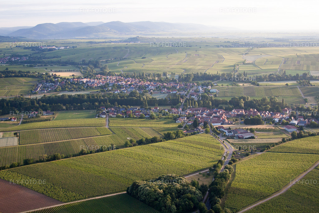 Luftbild: Ortsansicht im Ortsteil Ingenheim in Billigheim-Ingenheim im Bundesland Rheinland-Pfalz in Deutschland. Foto: IMG_67842.jpg vom 14.06.2014 durch Werner Riehm/FLY-FOTO.de