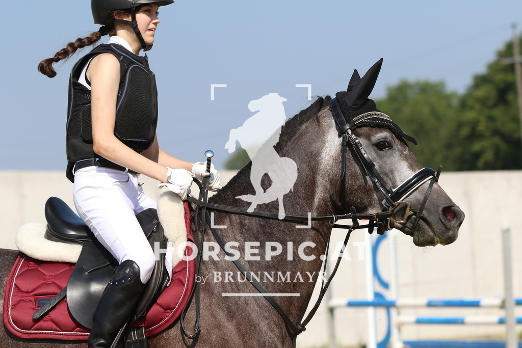 7V2A4187 | Willkommen bei Brunnmayr - Design & Fotografie – Ihrem Spezialisten für Reitturniere und Pferdeveranstaltungen in Oberösterreich, Salzburg und Bayern! Seit über 17 Jahren sind wir leidenschaftlich dabei.