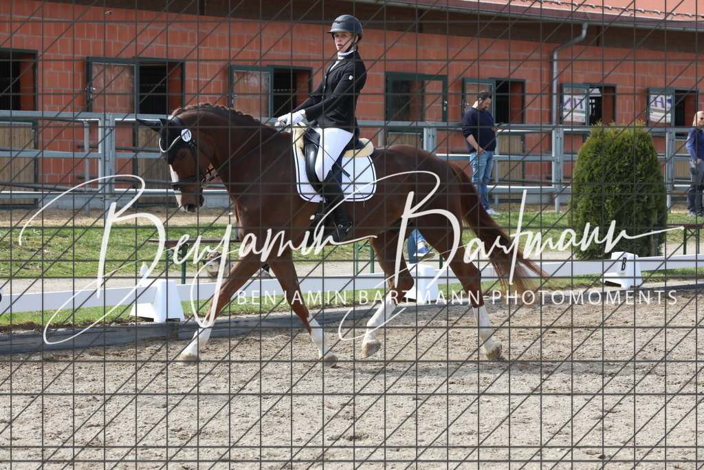 AZ2A3774 | Benjamin Bartmann Photomoments