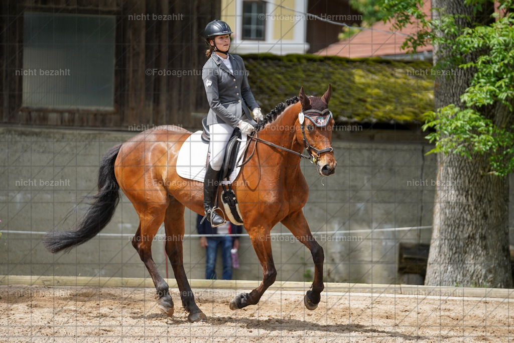 20240519-FAH05283 | Turnierbilder Niederseeon 2024, Vielseitigkeitsdressur, Reitsportbilder aus dem Landkreit Ebersberg, Gut Steinsee, RC Steinsee, Fotoagentur Herrmann