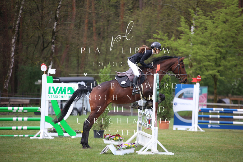 IMGT2923 | pl-fotografie