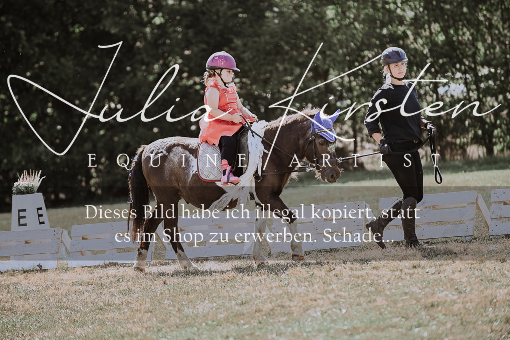 DSC_9091 | Pferde- und Turnierfotografie in Westsachsen. Pferdeportraits, Auftragszeichnungen und intuitive Kunst.