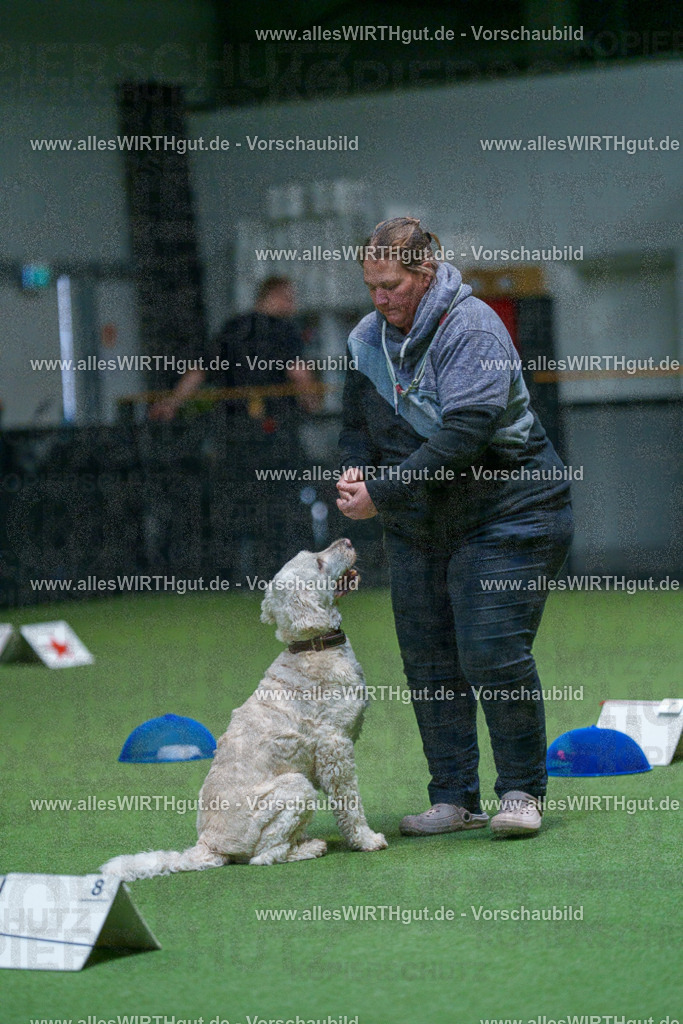7R502807 | Professionelle Tierfotografie in Mönchengladbach von Daniel Wirth (allesWIRTHgut). Liebevolle & natürliche Bilder von Hunden & Katzen für unvergessliche Erinnerungen.