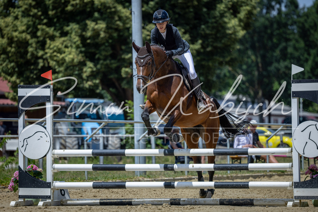 20260704-_3LI8667 | Tierfotografie Pferde, Hunde, Katzen, Haustiere.
Turnierfotografie Reitturniere, Reiten, Springreiten, Dressur in Hanau, dem Main-Kinzig-Kreis und dem Rhein-Main- Gebiet um Frankfurt