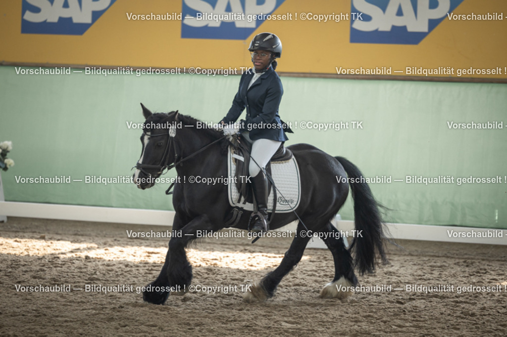 _D5A5546 | Emotionale Pferde- & People-Fotografie rund um Heidelberg, Leimen & Umgebung. Natürliche Fotos von Pferd, Mensch & Familie. Jetzt Termin sichern!