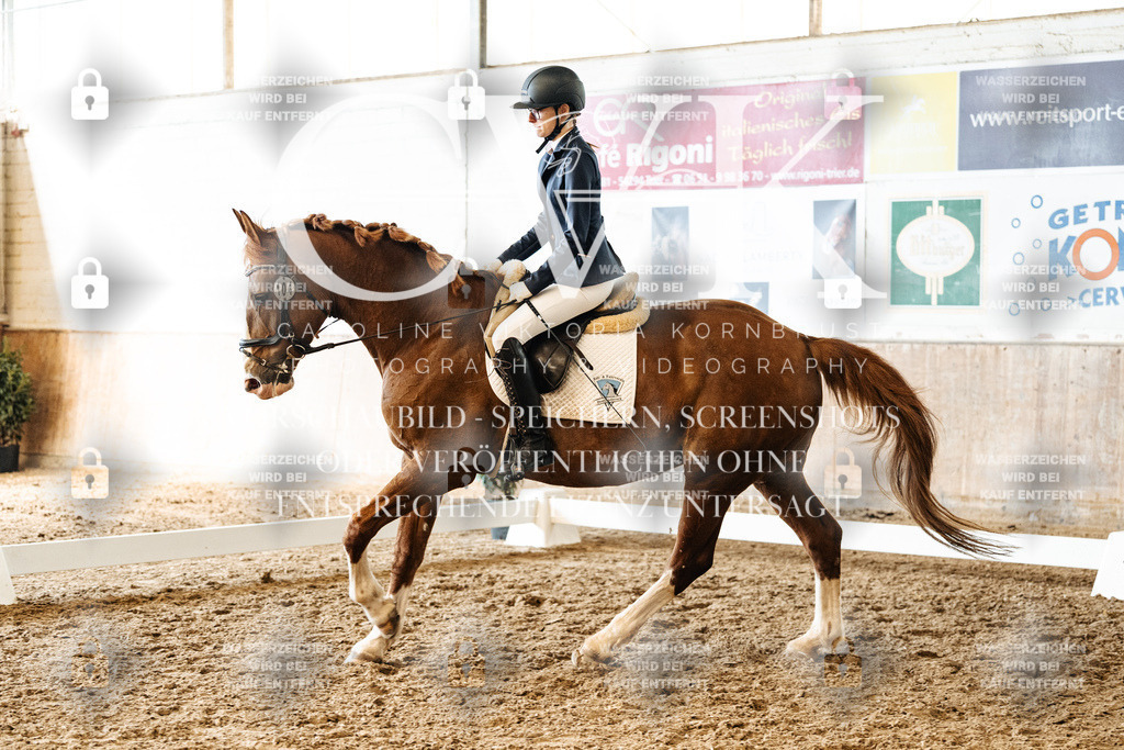 CK900078 | Turnierfotografie Pferdefotografie Trier Rheinland-Pfalz Pferdesport Reitsport Tierfotografie Sportfotografie Pferdevideo Pferdevideografie Equestrianvideography equestrianphotography  - Realized with Pictrs.com
