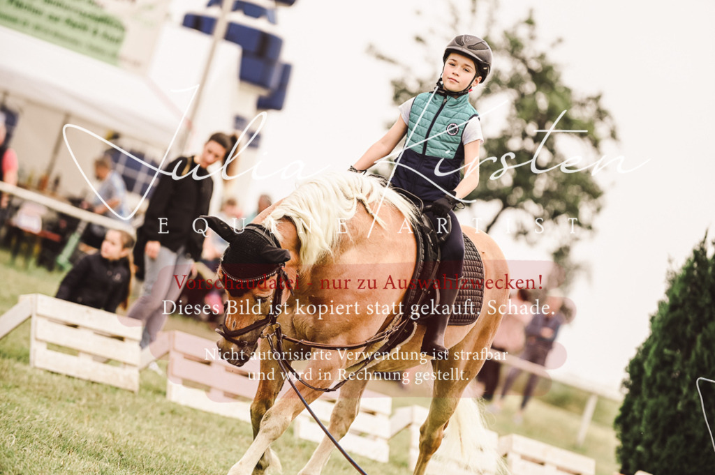 DSC_5326 | Pferde- und Turnierfotografie in Westsachsen. Pferdeportraits, Auftragszeichnungen und intuitive Kunst.