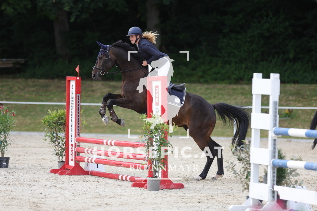 0P6A5640 | Willkommen bei Brunnmayr - Design & Fotografie – Ihrem Spezialisten für Reitturniere und Pferdeveranstaltungen in Oberösterreich, Salzburg und Bayern! Seit über 17 Jahren sind wir leidenschaftlich dabei.