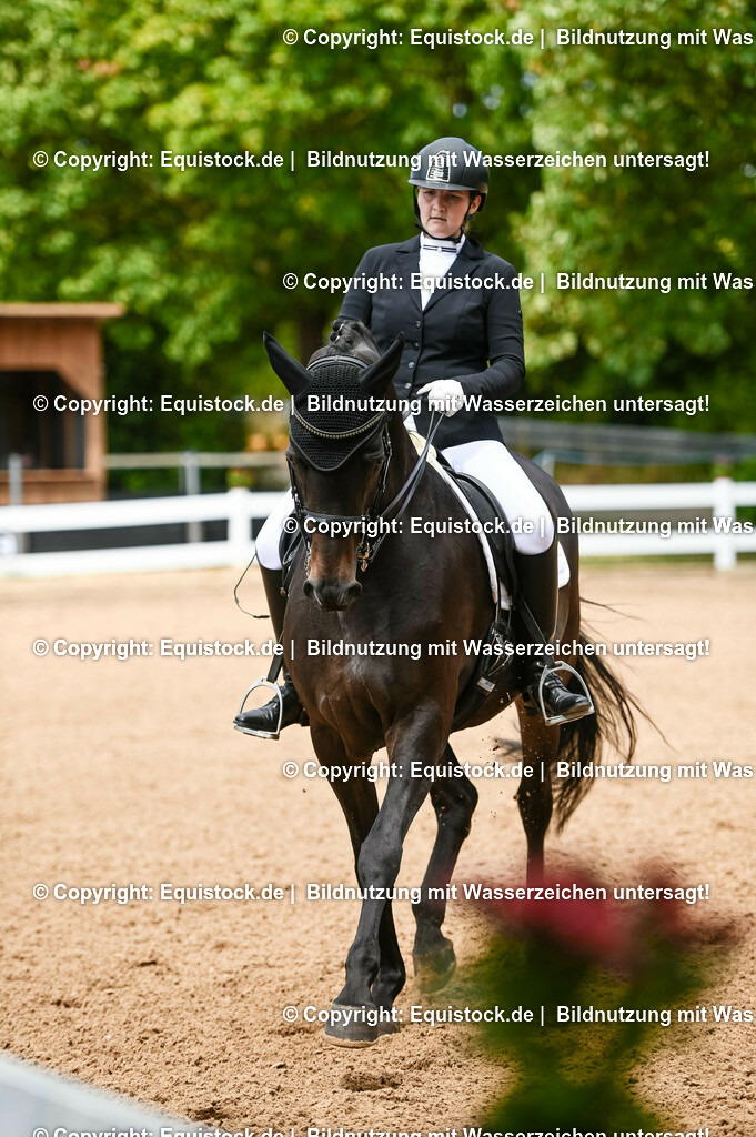 20230716_01_Dressurprüfung Kl.M_0125 | equistock