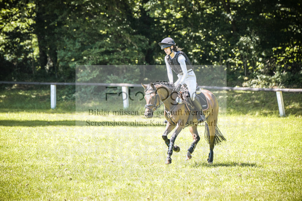 DOS_4119 | Entdecke hochwertige Reitturnierfotos von Foto Oger. Professionell, emotional und authentisch – jetzt Lieblingsmomente im Shop bestellen.Deutschlandweite Turnierfotografie. - Realisiert mit Pictrs.com