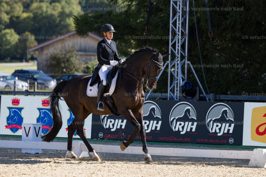 FHC2026_P07_88_17588 | working equitationturnier fotograf videograf stoibphotography marixx film working equitation deutschland reitsport turnierfotografie eventfotografie equestrian events