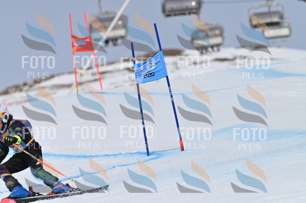 BGV_3756 | holidayphoto