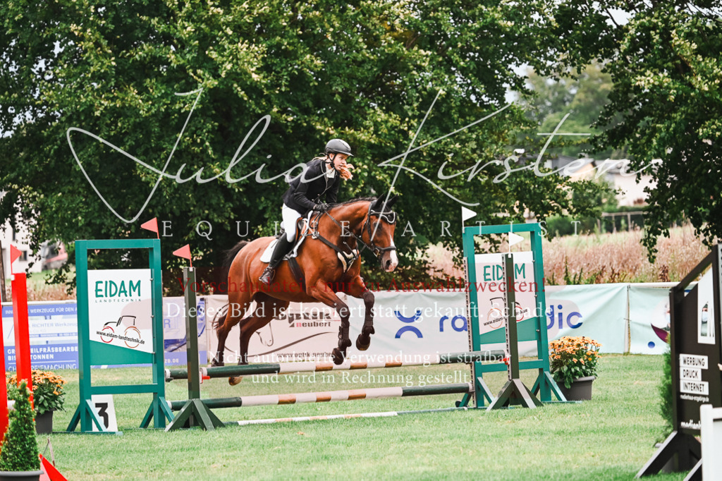 DSC_5922 | Pferde- und Turnierfotografie in Westsachsen. Pferdeportraits, Auftragszeichnungen und intuitive Kunst.