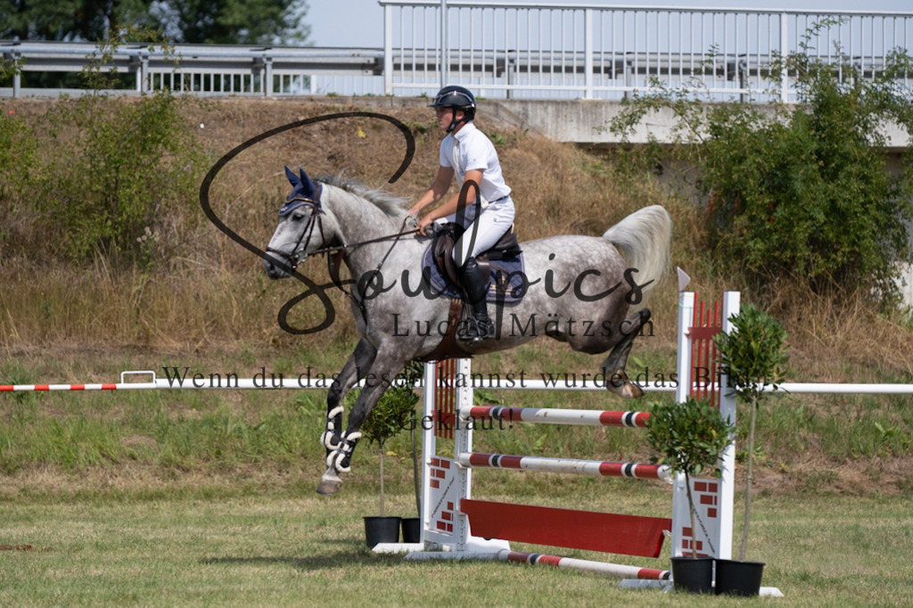 A7V01703 | Pferdefotograf