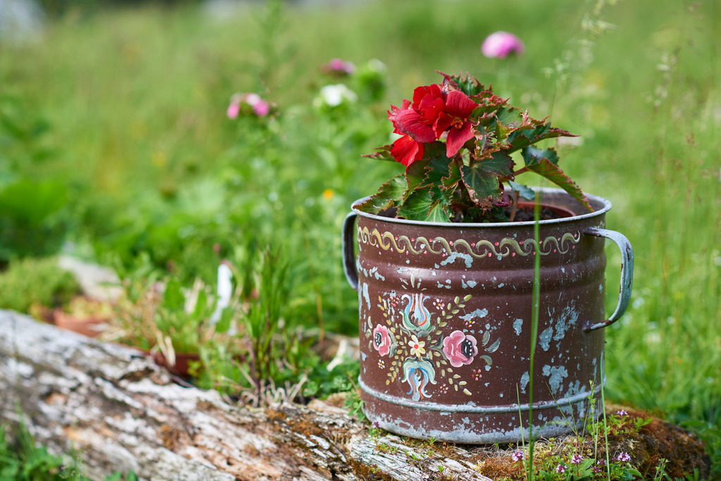 Mit Bauernmalerei verzierter Topf mit roten Blumen | Gnanitz, Austria - June 27, 2017: Mit Bauernmalerei verzierter Topf mit roten Blumen. - Realisiert mit Pictrs.com