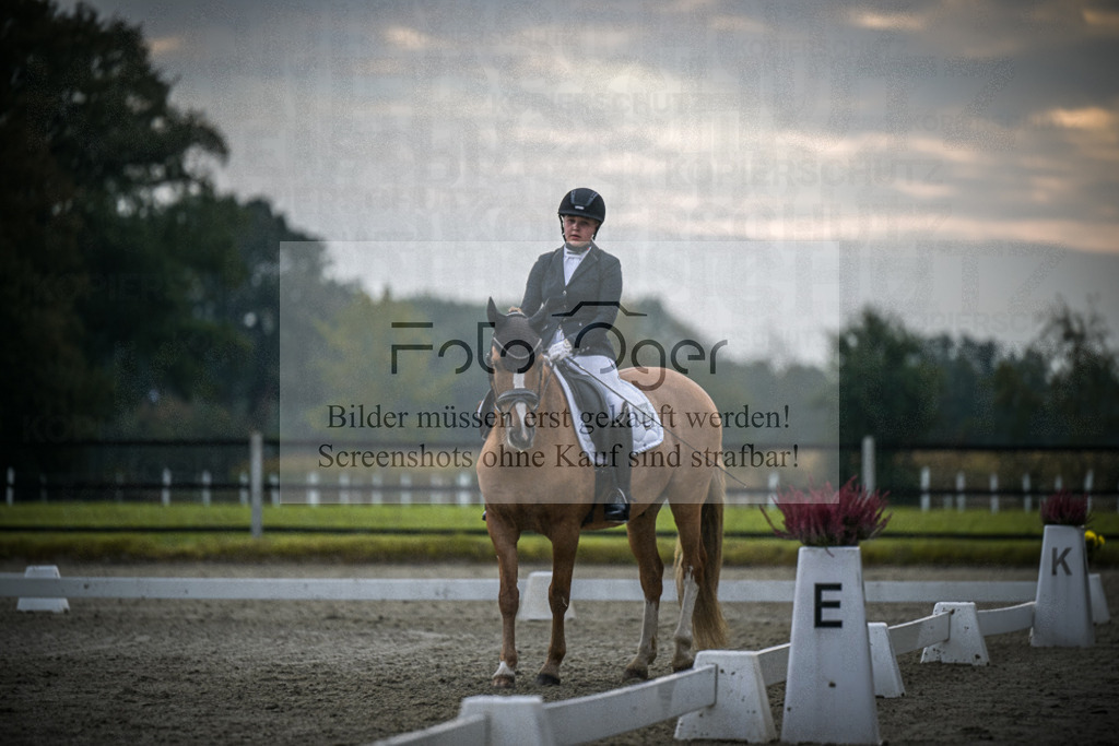 DOS_2083 | Entdecke hochwertige Reitturnierfotos von Foto Oger. Professionell, emotional und authentisch – jetzt Lieblingsmomente im Shop bestellen.Deutschlandweite Turnierfotografie. - Realisiert mit Pictrs.com