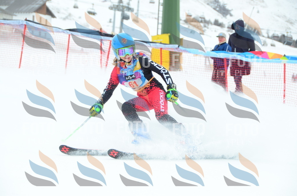 DSC_1014 | holidayphoto