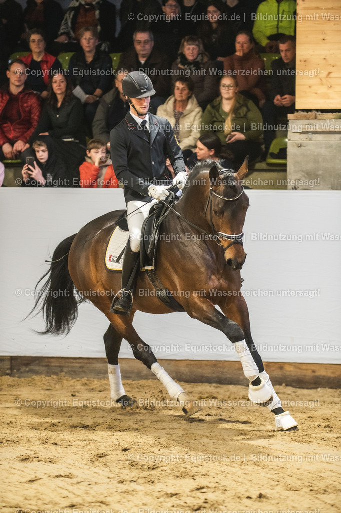 20240302_Hengstvorstellung_Marbach_TOMsPiC_0134-2 | equistock