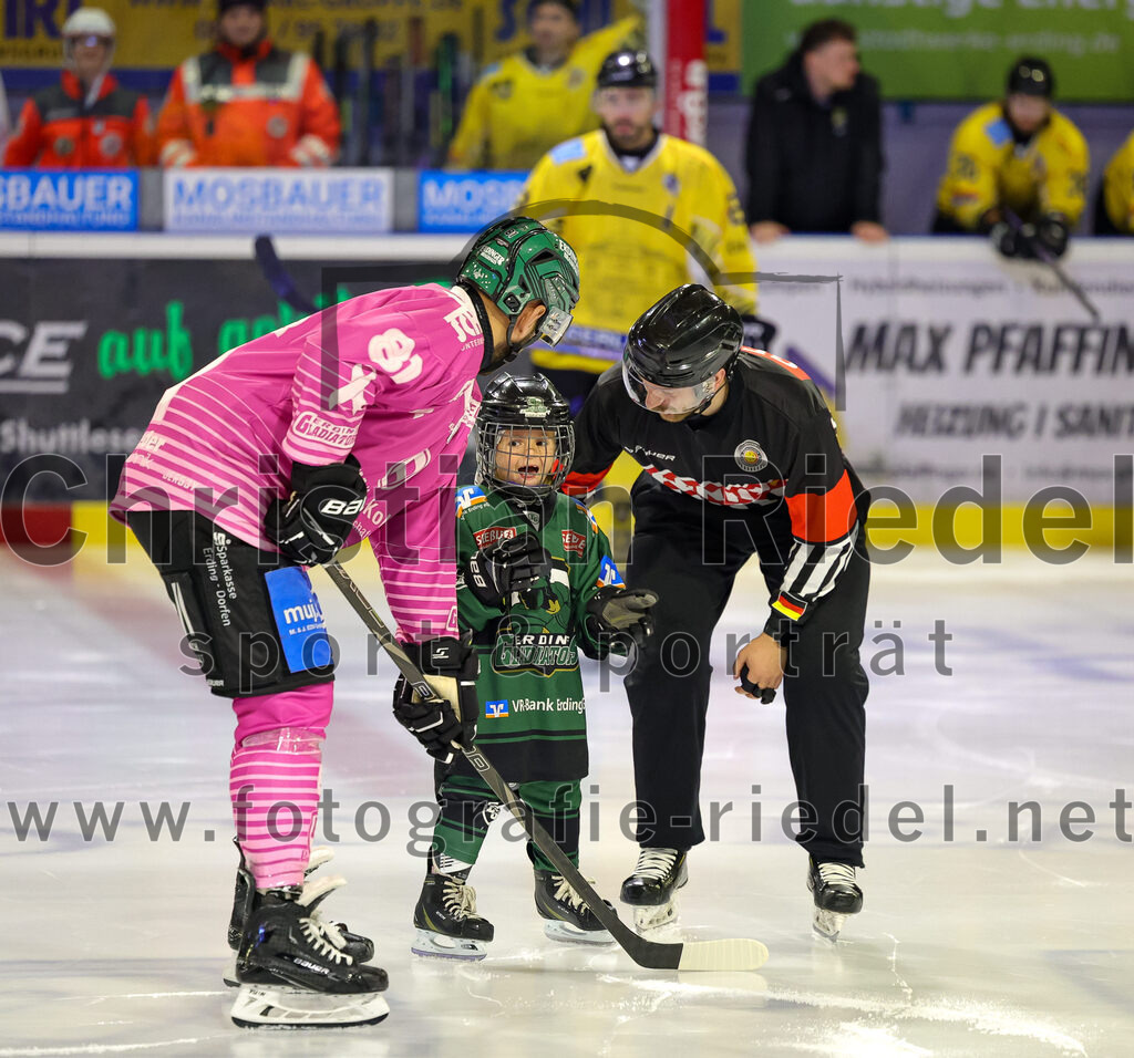 2025-10-10_032_TSV_Erding_gegen_onesto_Tigers_Bayreuth | Erding, Deutschland, 10.10.2025:Eishockey, Oberliga Süd 2025 / 2026, 7. Spieltag, TSV Erding gegen onesto Tigers Bayreuth, Endergebnis: 2:5Maximilian Forster (Erding Gladiators, #81)Foto: Christian Riedel / fotografie-riedel.net