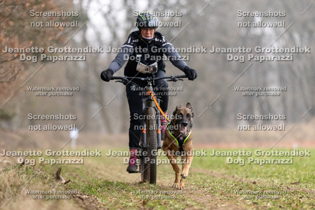 Dog Paparazzi - Plate 2026-8 | Dog Paparazzi Jeanette Grottendiek Fotografie & Videografie - Realisiert mit Pictrs.com