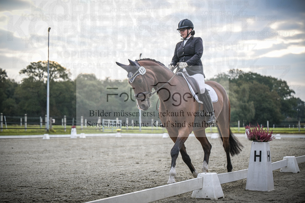 DOS_1128 | Entdecke hochwertige Reitturnierfotos von Foto Oger. Professionell, emotional und authentisch – jetzt Lieblingsmomente im Shop bestellen.Deutschlandweite Turnierfotografie. - Realisiert mit Pictrs.com