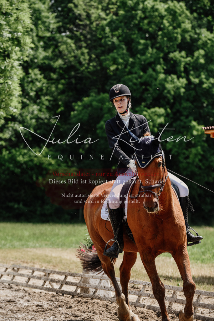 DSC_1531 | Pferde- und Turnierfotografie in Westsachsen. Pferdeportraits, Auftragszeichnungen und intuitive Kunst.