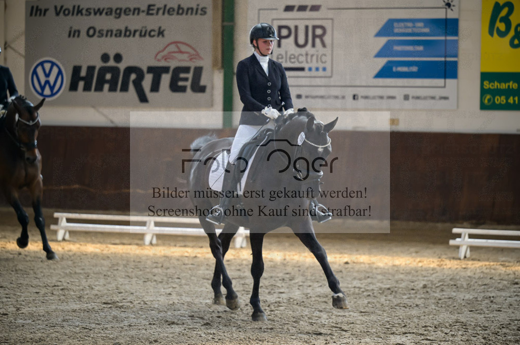 Reitturnier Voxtrup | Entdecke hochwertige Reitturnierfotos von Foto Oger. Professionell, emotional und authentisch – jetzt Lieblingsmomente im Shop bestellen.Deutschlandweite Turnierfotografie. - Realisiert mit Pictrs.com