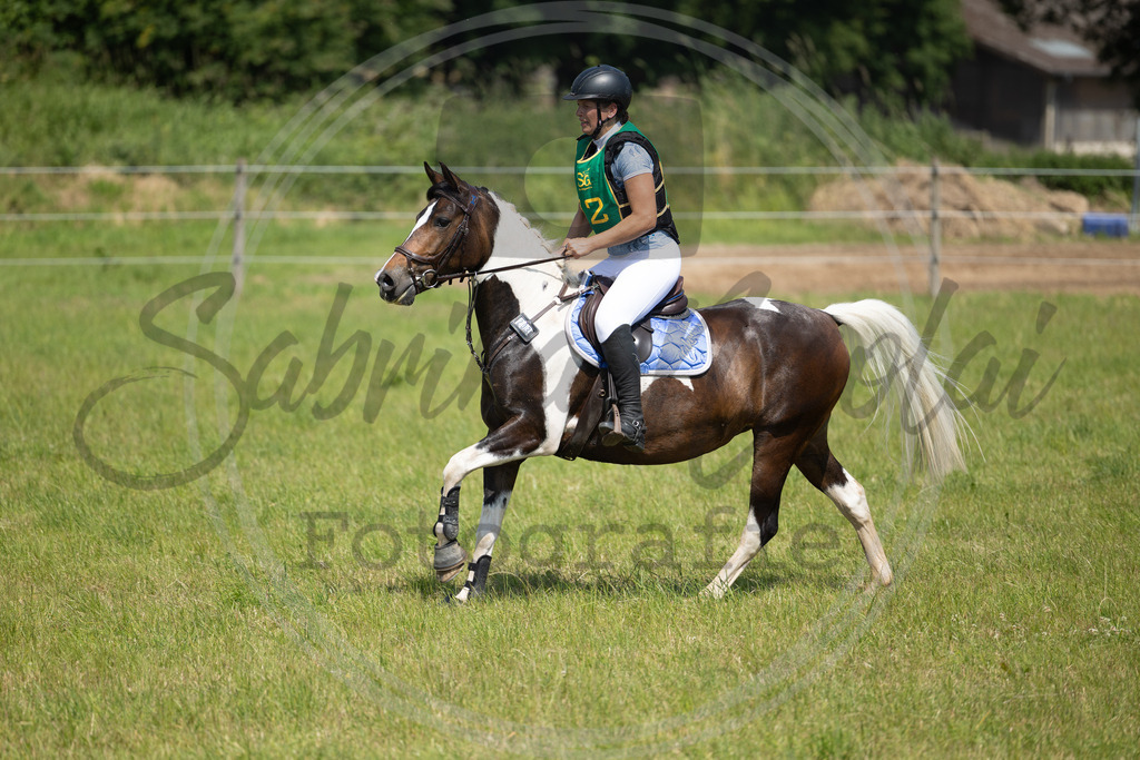 994A1100 | sabrinanicolaifotografie - Realisiert mit Pictrs.com