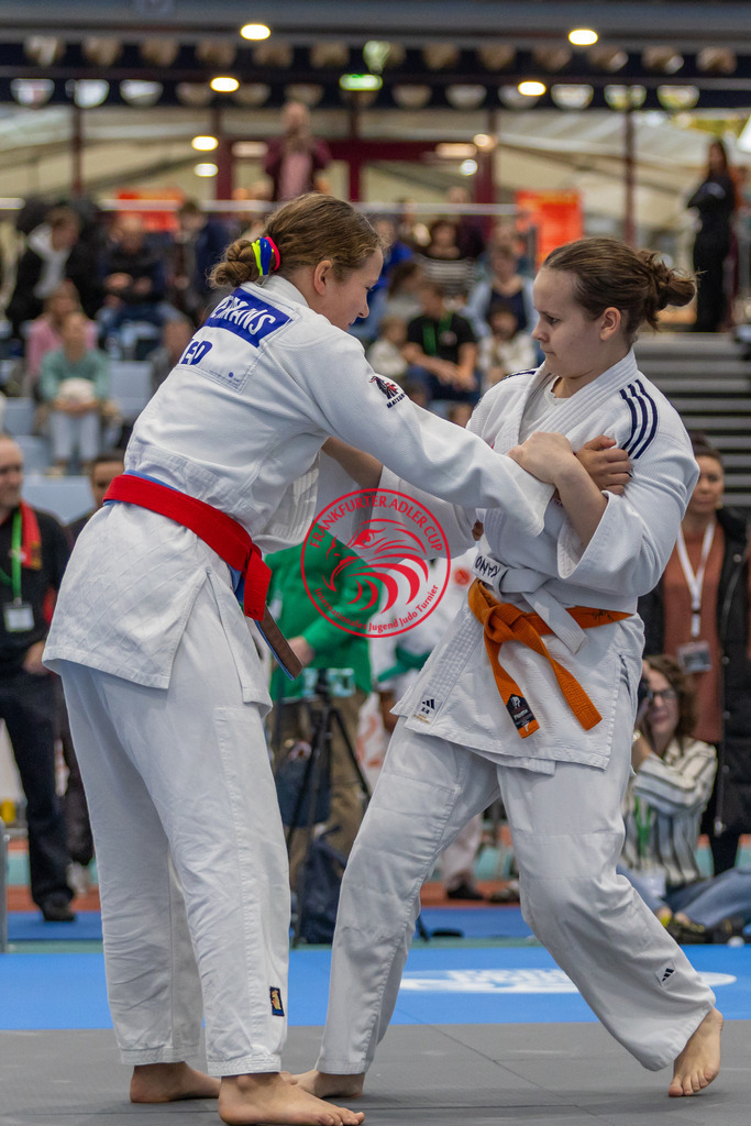 Internationaler Adler Cup 2024 | Foto vom Internationalen Adler Cup Judo Turnier im Sport- und Freizeitzentrum Kalbach im Oktober 2024 - Realisiert mit Pictrs.com