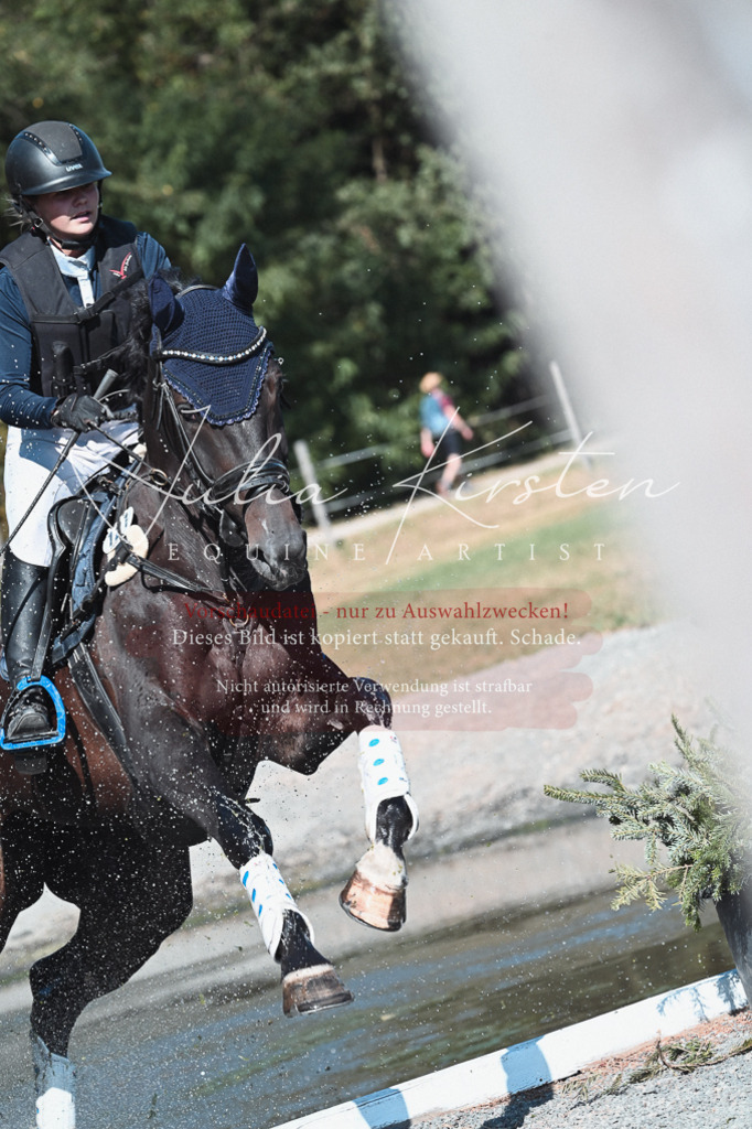 DSC_8581 | Pferde- und Turnierfotografie in Westsachsen. Pferdeportraits, Auftragszeichnungen und intuitive Kunst.