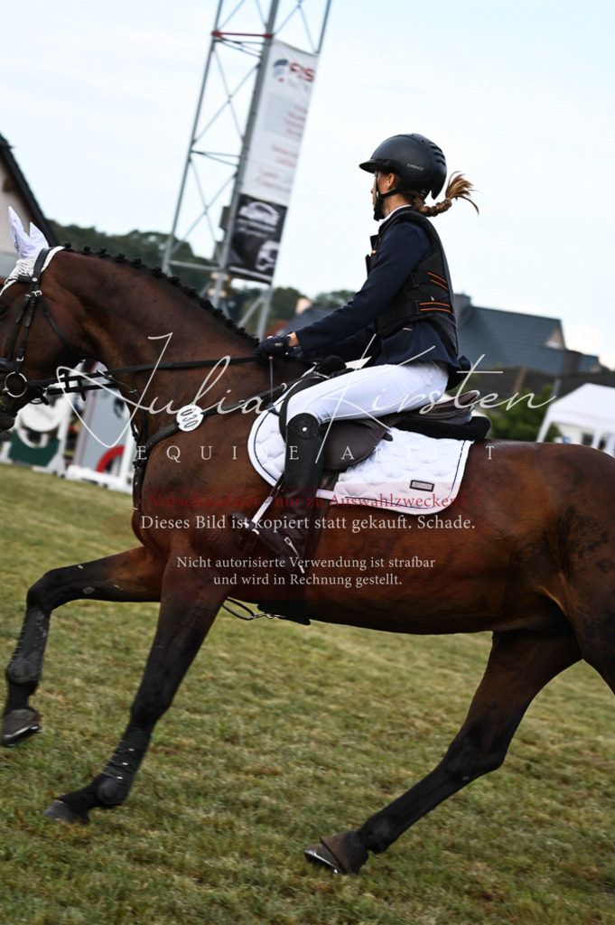 DSC_5655 | Pferde- und Turnierfotografie in Westsachsen. Pferdeportraits, Auftragszeichnungen und intuitive Kunst.