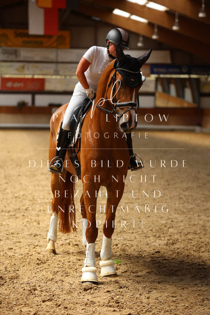 IMGS1421 | pl-fotografie