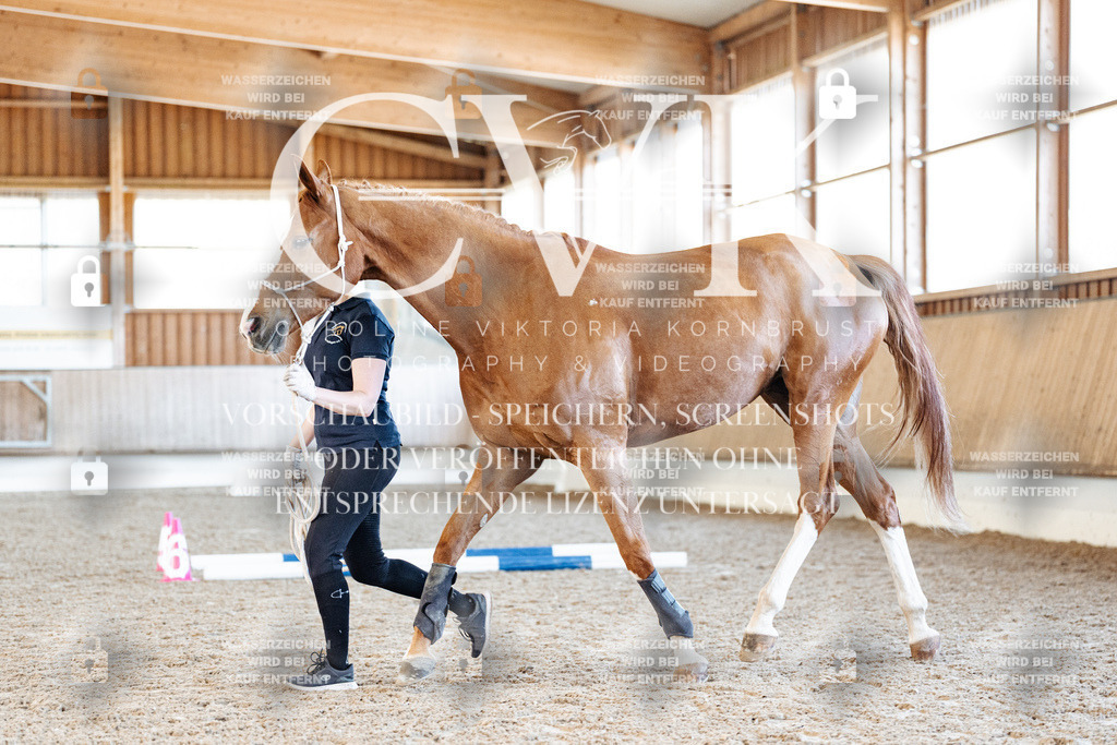 CK906082 | Turnierfotografie Pferdefotografie Trier Rheinland-Pfalz Pferdesport Reitsport Tierfotografie Sportfotografie Pferdevideo Pferdevideografie Equestrianvideography equestrianphotography  - Realized with Pictrs.com