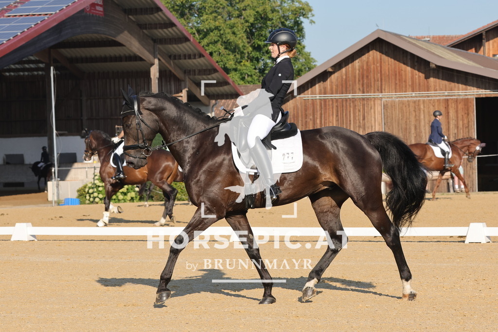 0P6A8410 | Willkommen bei Brunnmayr - Design & Fotografie – Ihrem Spezialisten für Reitturniere und Pferdeveranstaltungen in Oberösterreich, Salzburg und Bayern! Seit über 17 Jahren sind wir leidenschaftlich dabei.