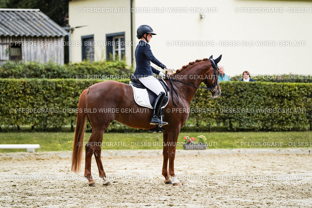 DSC06920 | Pferdegrafie