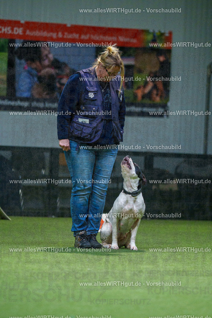 7R507792 | Professionelle Tierfotografie in Mönchengladbach von Daniel Wirth (allesWIRTHgut). Liebevolle & natürliche Bilder von Hunden & Katzen für unvergessliche Erinnerungen.