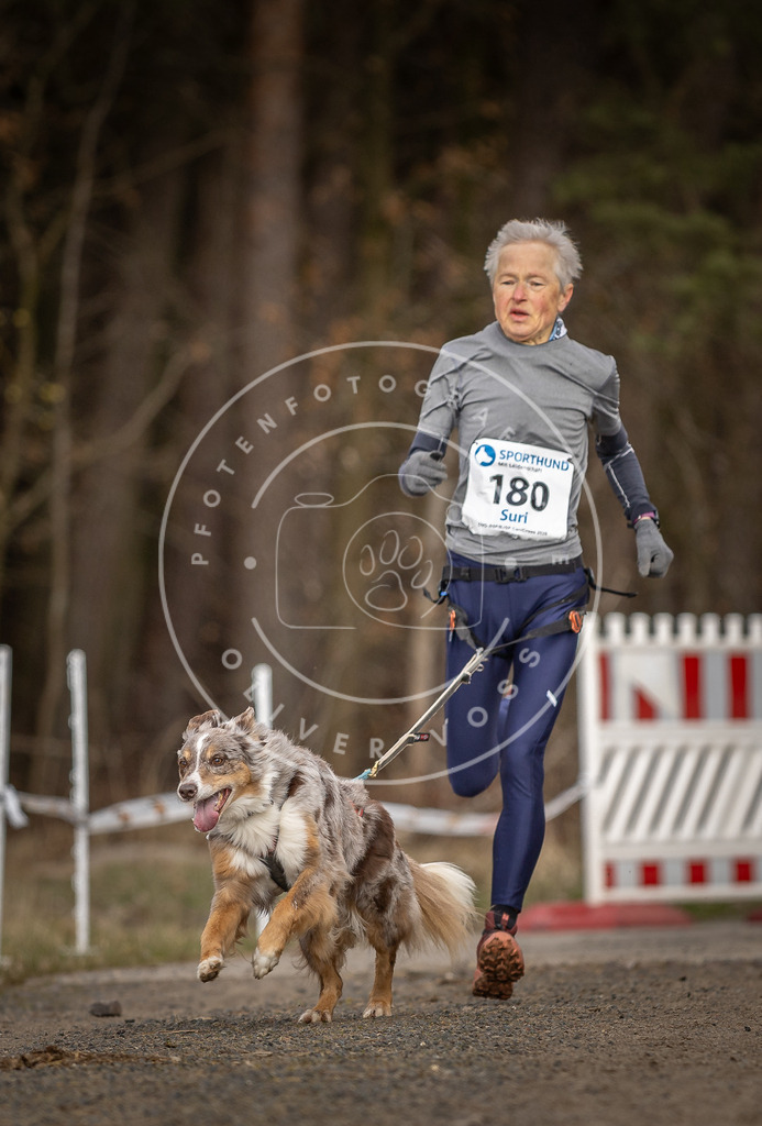 DV3A5377 | Hundefotografie, Tierfotograf, Pfotenfotografie, Fotoshooting Hund, Hunde Portrait, Hundesport, Hundeportraits, Heideshooting, Hunde, Sportfotograf, Hundefotograf, Turnierhundsport, THS,  - Realisiert mit Pictrs.com