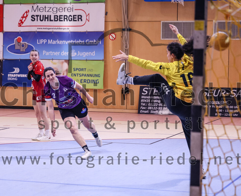 2025-02-22_024_SpVgg_Altenerding_gegen_TG_Landshut | Erding, Deutschland, 22.02.2025:Handball, Bezirksoberliga Frauen Altbayern 2024 / 2024, 15. Spieltag, SpVgg Altenerding gegen TG Landshut, Endergebnis: 25:22Janina Konrad (SpVgg Altenerding, #2), Torfrau Rebecca Tragl (TG Landshut, #16)Foto: Christian Riedel / fotografie-riedel.net