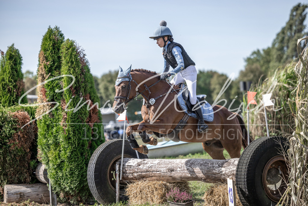 20250907-_3LI0063 | Tierfotografie Pferde, Hunde, Katzen, Haustiere.
Turnierfotografie Reitturniere, Reiten, Springreiten, Dressur in Hanau, dem Main-Kinzig-Kreis und dem Rhein-Main- Gebiet um Frankfurt