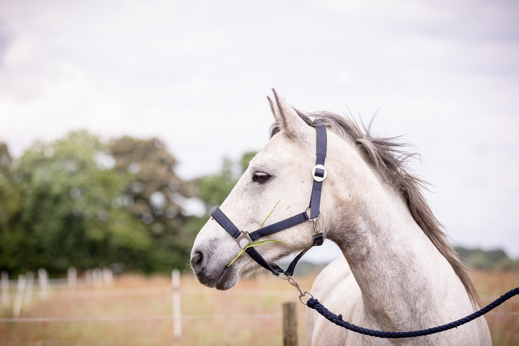 846A0869 | fotosleben - Realisiert mit Pictrs.com
