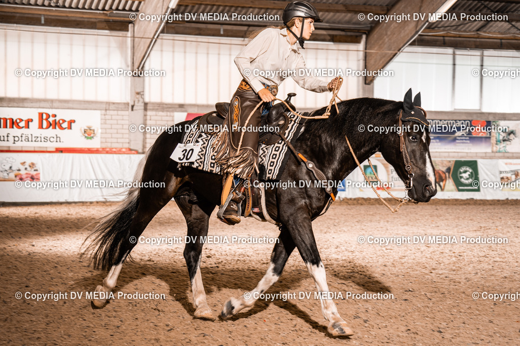 ZH300123 | dv-media-shop - Realisiert mit Pictrs.com