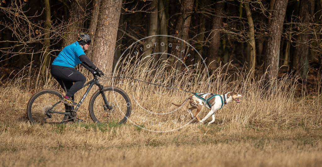 DV3A4362 | Hundefotografie, Tierfotograf, Pfotenfotografie, Fotoshooting Hund, Hunde Portrait, Hundesport, Hundeportraits, Heideshooting, Hunde, Sportfotograf, Hundefotograf, Turnierhundsport, THS,  - Realisiert mit Pictrs.com