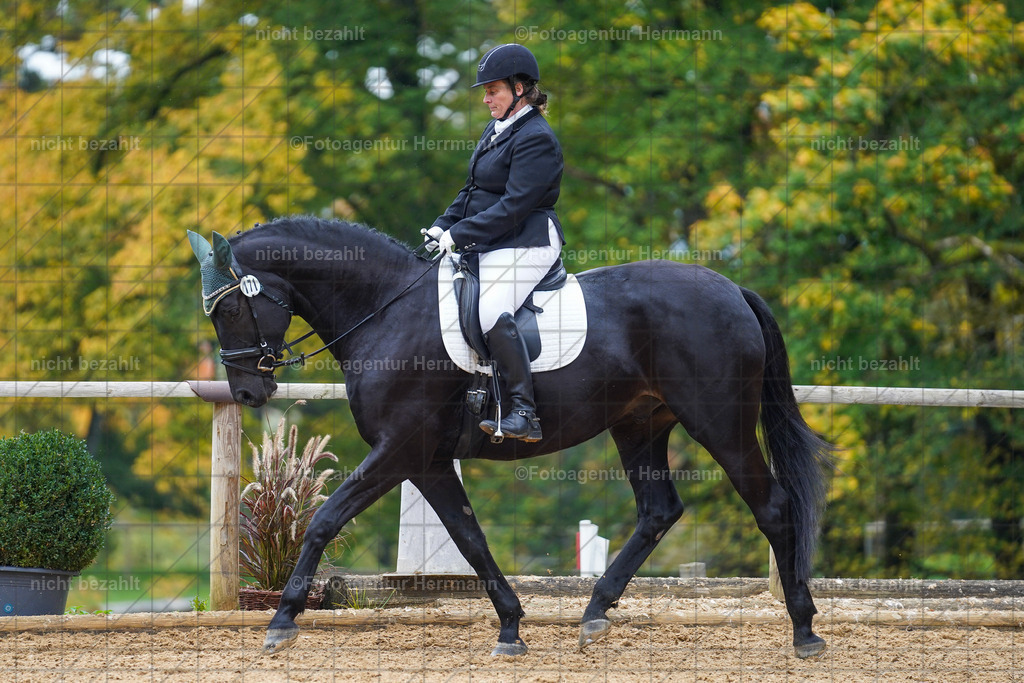 20221008-FAH01704 | Diessen am Ammersee, 2022, Dressur- und Springturnier, Reitsportbilder, Turnierfotografen Bayern, Pferdefotografen, Fotoagentur Herrmann, Turnierbilder
