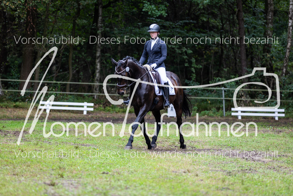 HB-A-Dressur-118 | MomenTaufnahmen Pferdesportfotos