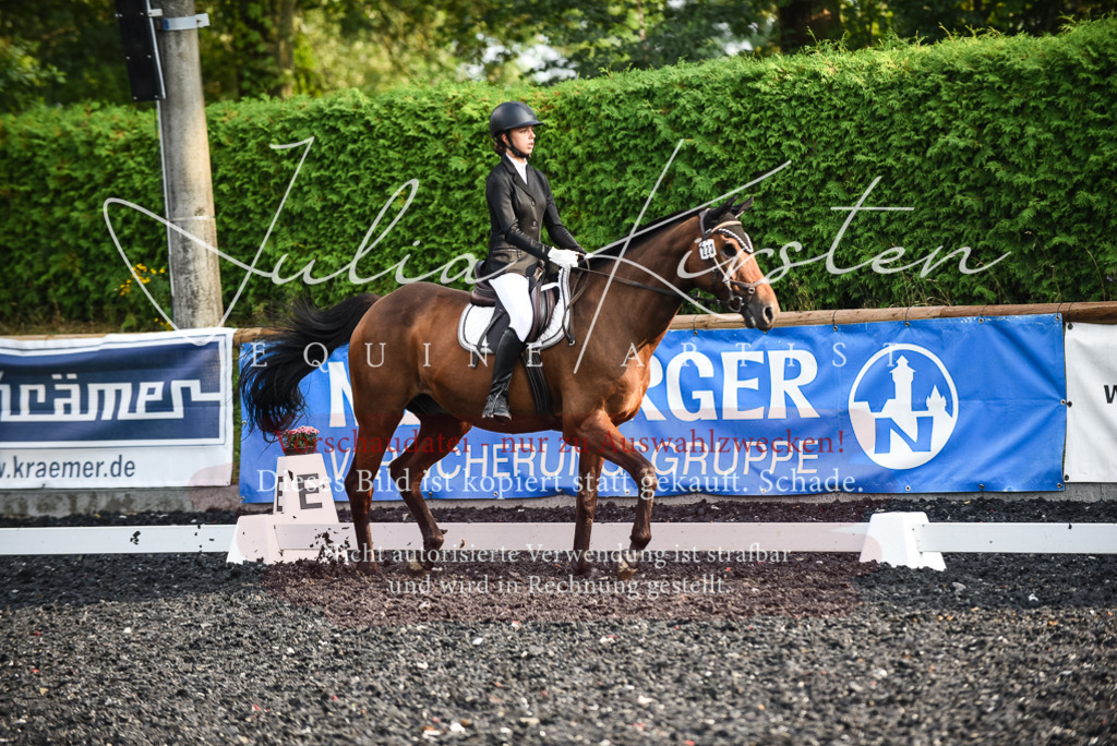 DSC_3483 | Pferde- und Turnierfotografie in Westsachsen. Pferdeportraits, Auftragszeichnungen und intuitive Kunst.