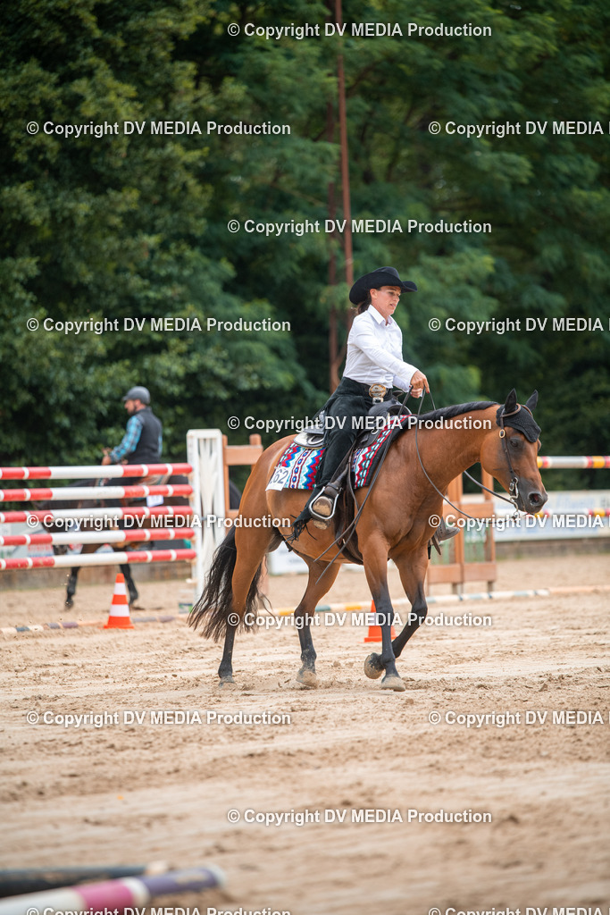 ZS2_8383 | dv-media-shop - Realisiert mit Pictrs.com