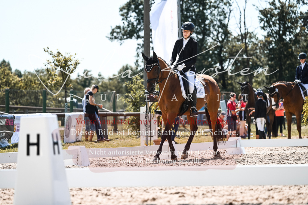 DSC_5489 | Pferde- und Turnierfotografie in Westsachsen. Pferdeportraits, Auftragszeichnungen und intuitive Kunst.