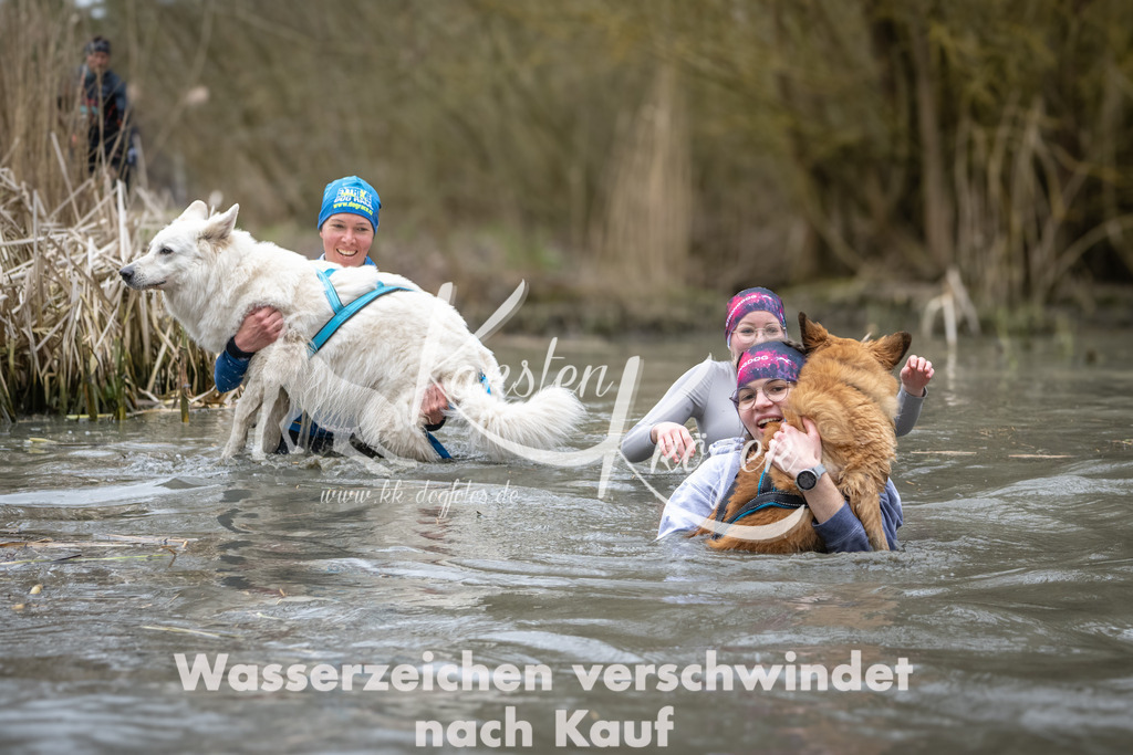 1054_ZZ93623 | kk-dogfotos