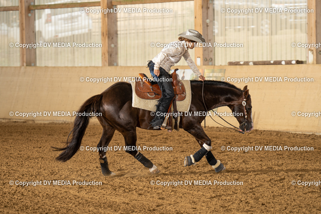 LAU01546 | dv-media-shop - Realisiert mit Pictrs.com