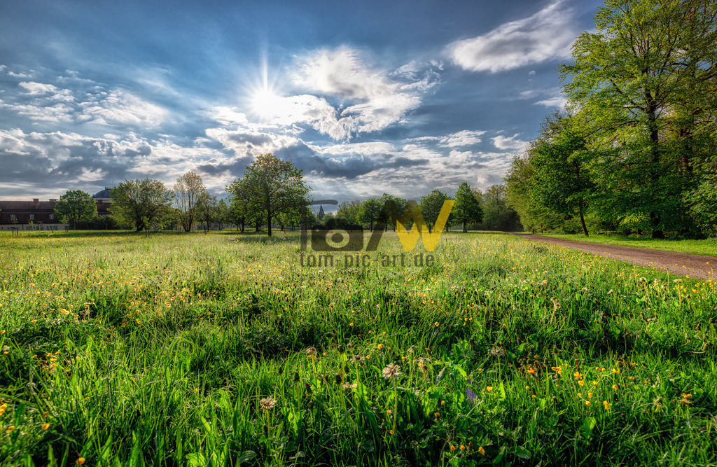 Glitzernder Morgentau auf der Blumenwiese--Schloss Solitude | Majestätisch glitzert der Morgentau im saftig feuchten Gras der Blumenweise bei Schloss Solitude. - Realisiert mit Pictrs.com